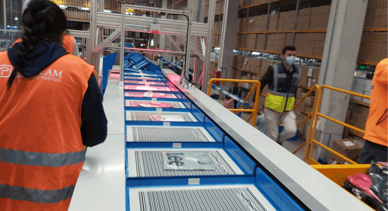 Left Right Tray Sorter (3)